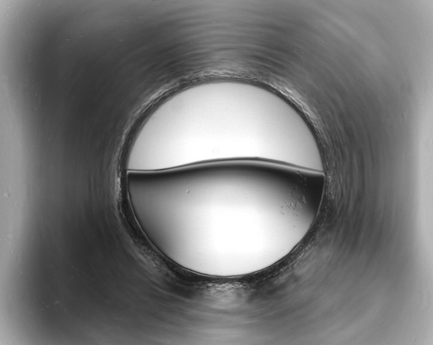 X0000093600446200710151001