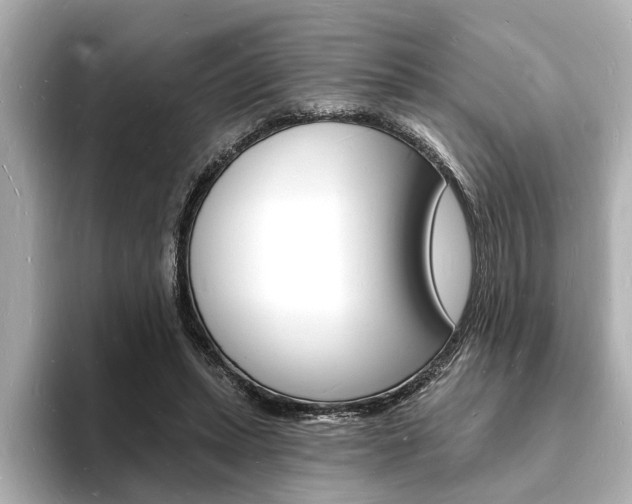 X0000093600447200710151001
