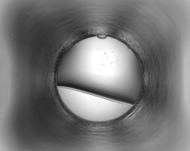 X0000093600449200710151001