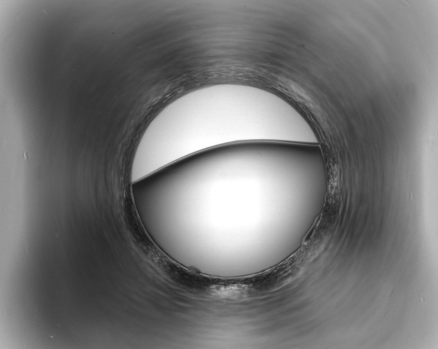 X0000093600452200710151001