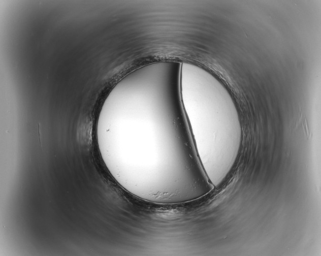 X0000093600454200710151001