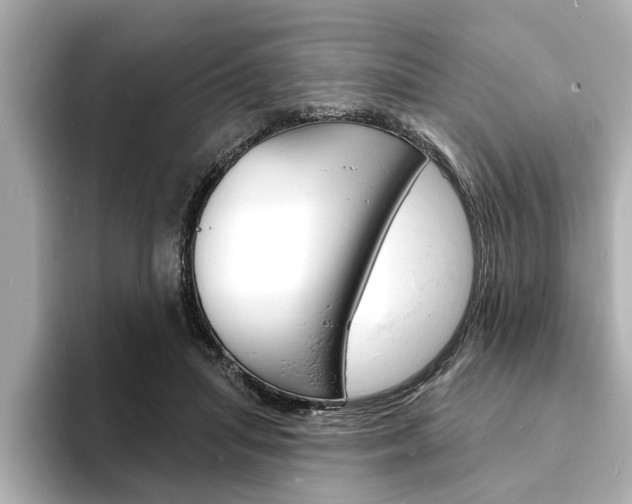 X0000093600455200710151001