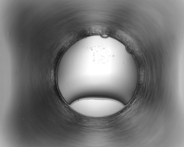 X0000093600457200710151001