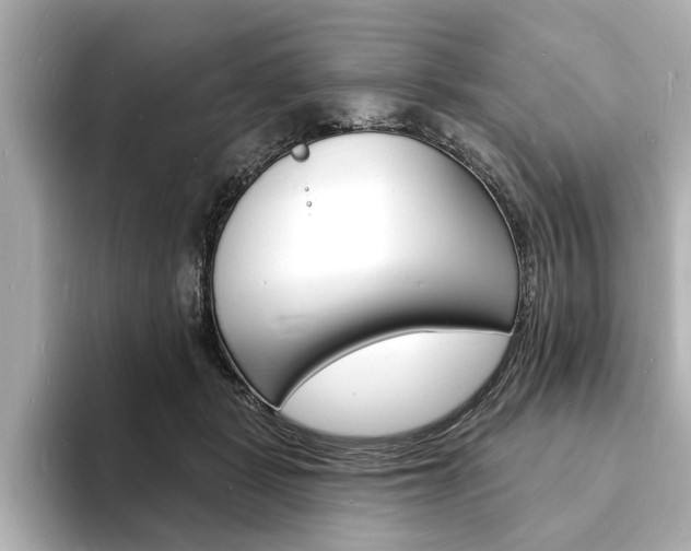 X0000093600461200710151001