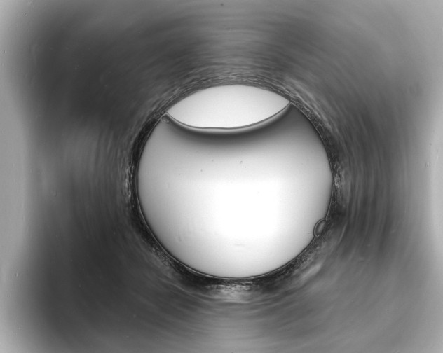 X0000093600462200710151001