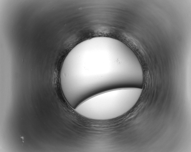 X0000093600463200710151001
