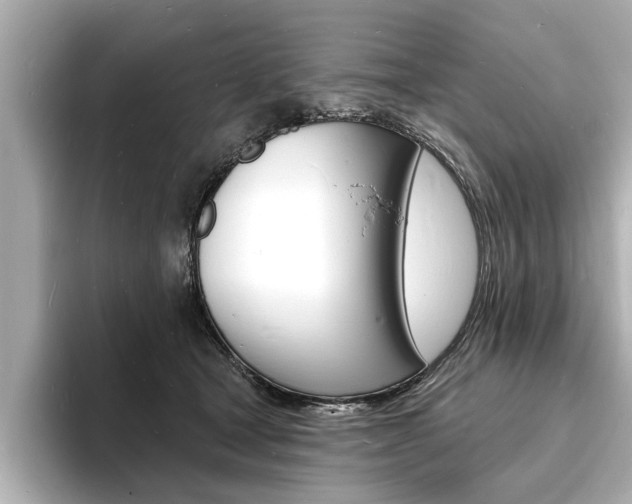 X0000093600465200710151001