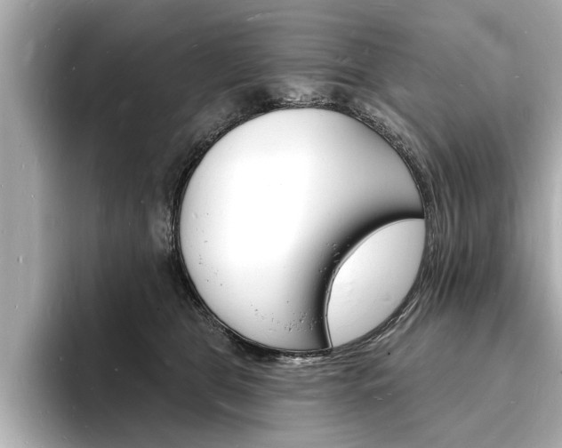 X0000093600469200710151001