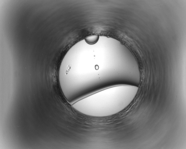 X0000093600470200710151001