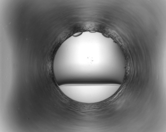 X0000093600473200710151001