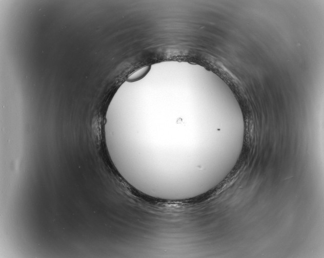 X0000093600475200710151001