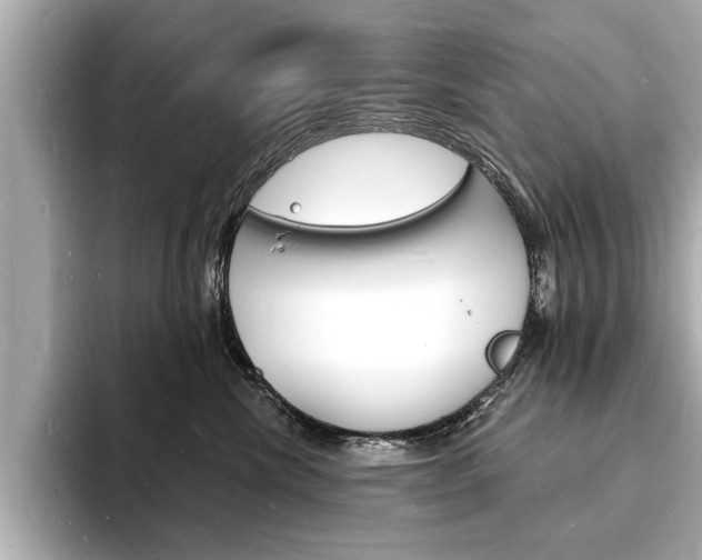 X0000093600476200710151001