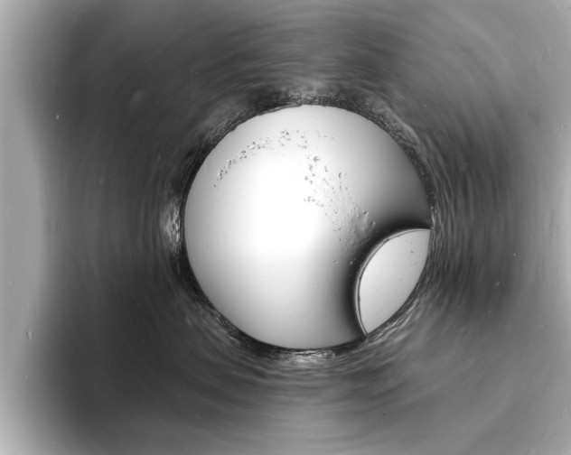X0000093600479200710151001