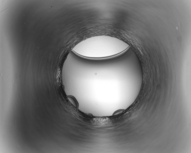 X0000093600480200710151001