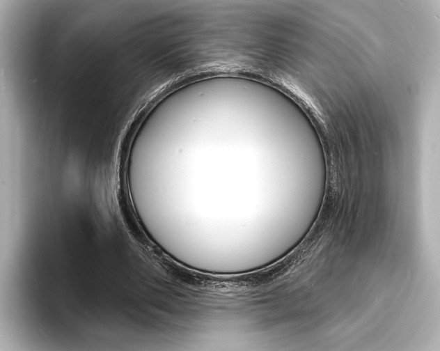 X0000093600486200710151000