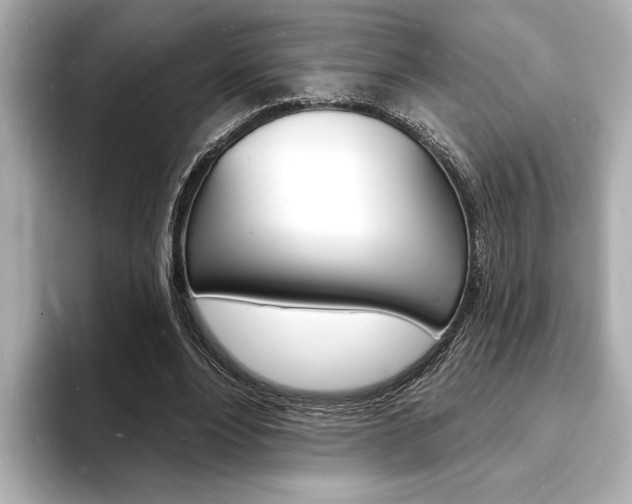 X0000093600488200710151000