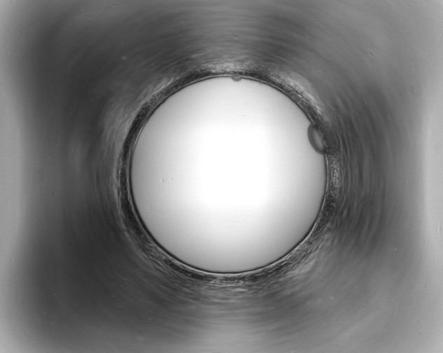 X0000093600491200710151000