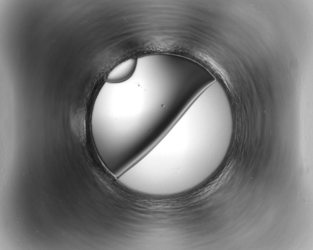 X0000093600493200710151000