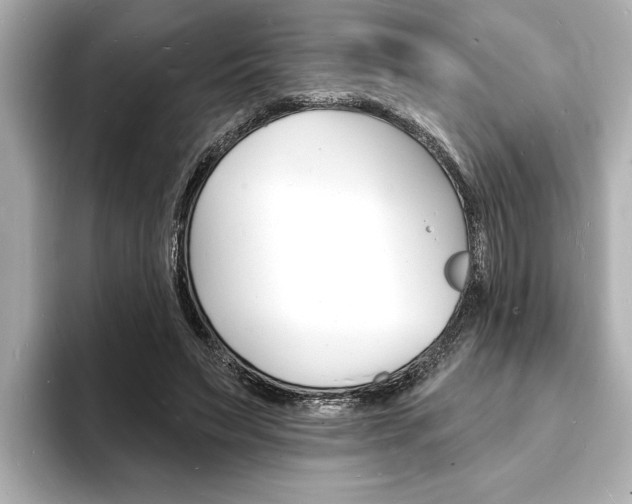 X0000093600495200710151000