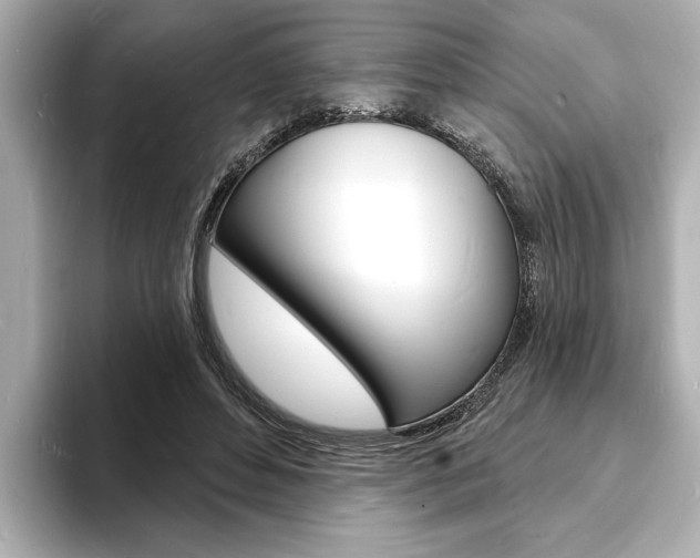 X0000093600496200710151000