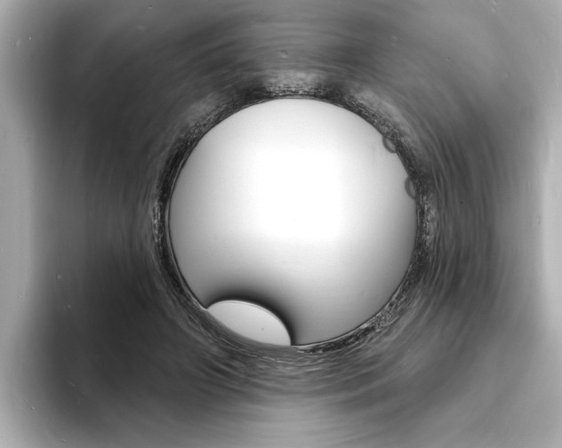 X0000093600498200710151000