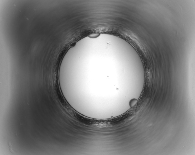 X0000093600499200710151000