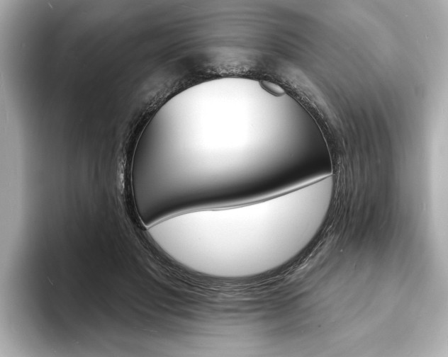 X0000093600501200710151000