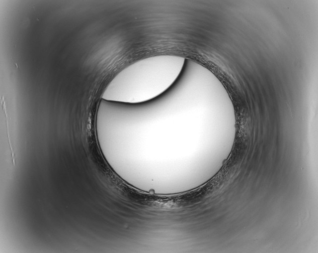 X0000093600502200710151000