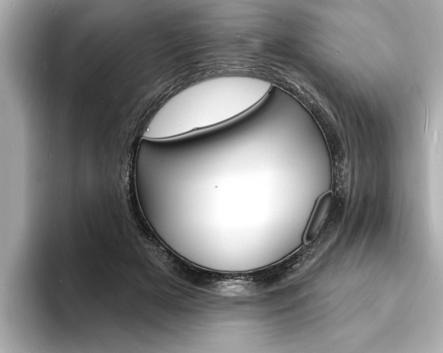 X0000093600505200710151000