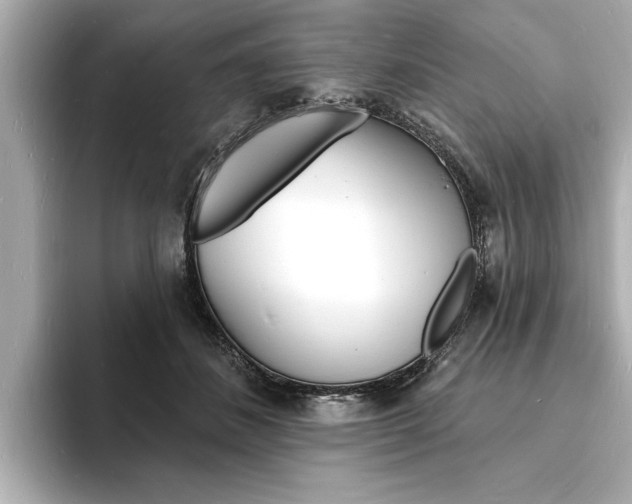 X0000093600508200710151000