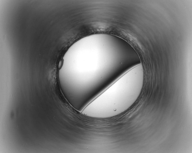 X0000093600509200710151000