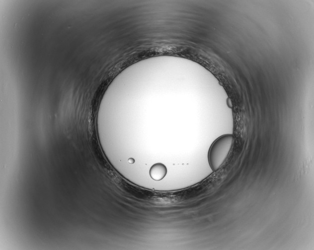 X0000093600510200710151000