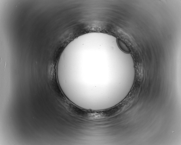 X0000093600511200710151000