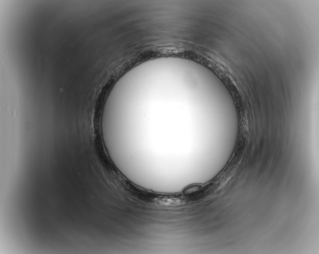 X0000093600512200710151000