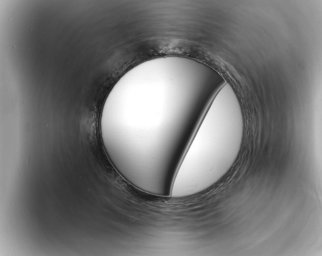 X0000093600513200710151000