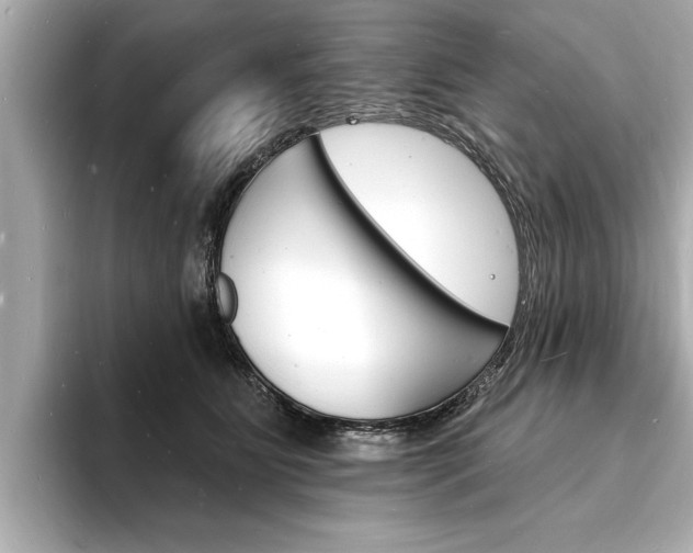 X0000093600515200710151000