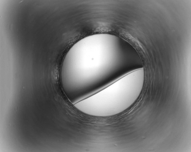 X0000093600517200710151000