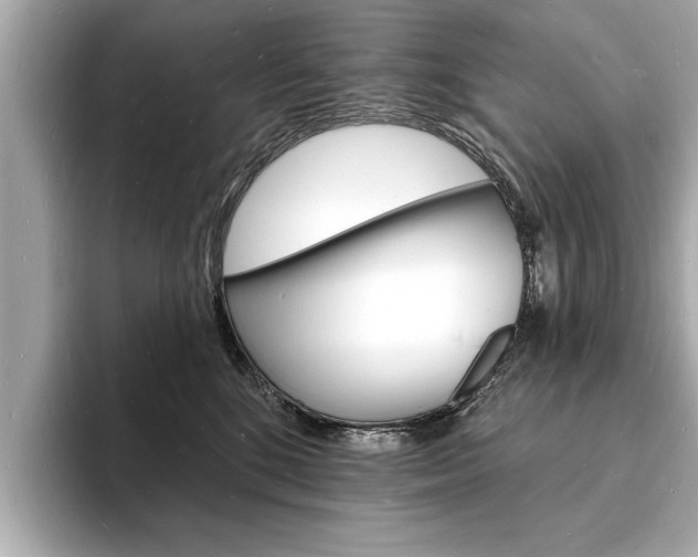 X0000093600520200710151000