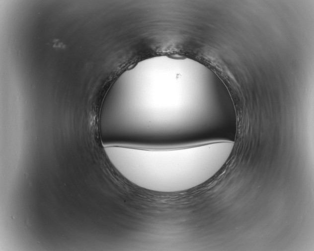 X0000093600521200710151000