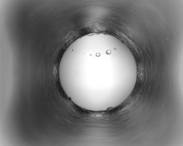 X0000093600523200710151000