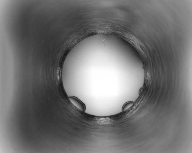 X0000093600525200710151000