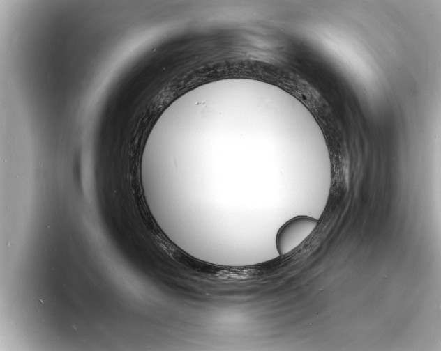 X0000093600526200710151000