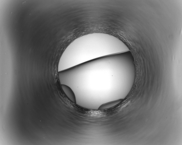 X0000093600528200710151000