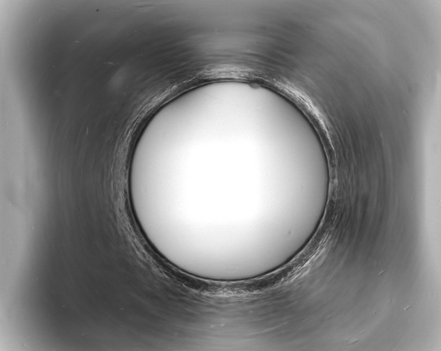 X0000093600529200710150959