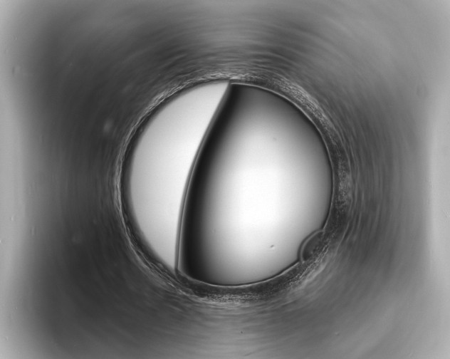 X0000093600530200710150959