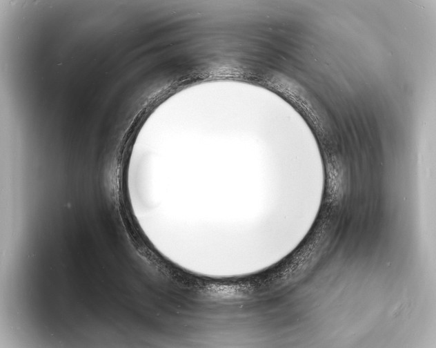 X0000093600534200710150959