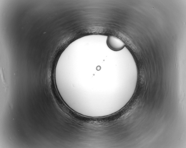 X0000093600538200710150959