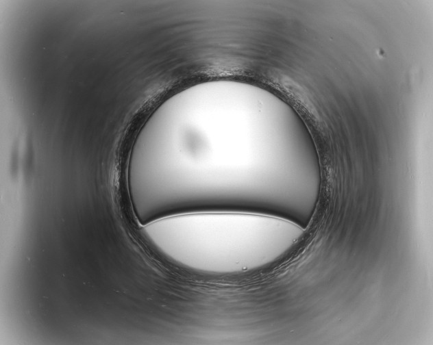 X0000093600539200710150959