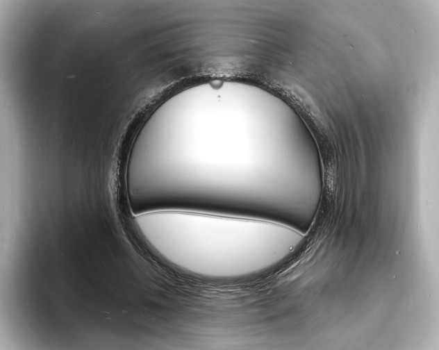 X0000093600540200710150959