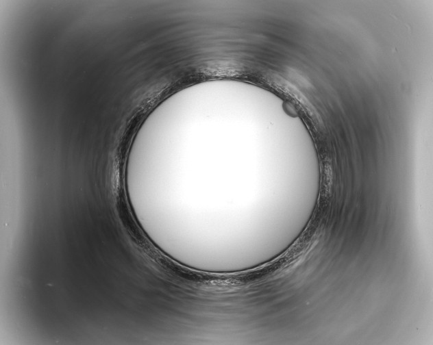 X0000093600541200710150959